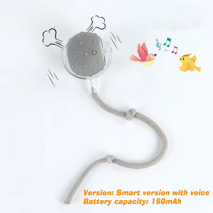 Automatic Interactive Dog Ball Toy
