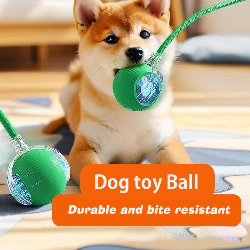 Automatic Interactive Dog Ball Toy