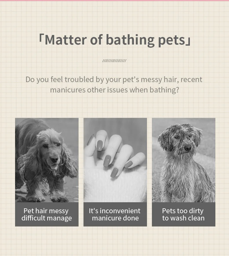 3-in-1 Steam Spray Pet Massage Brush