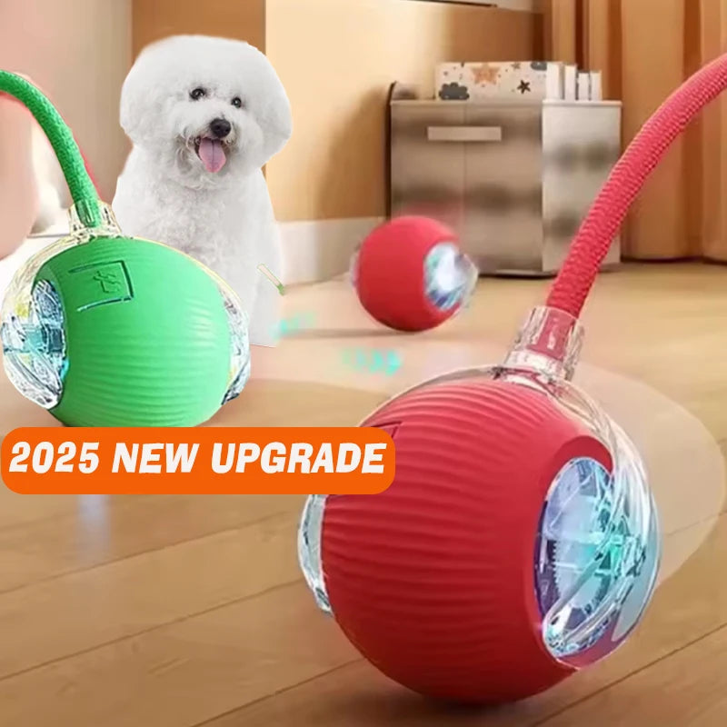 Automatic Interactive Dog Ball Toy