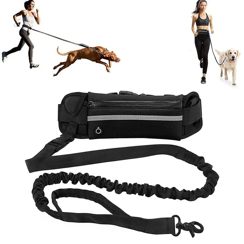 Hands-Free Reflective Dog Leash with Waist Bag