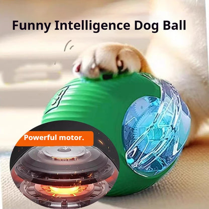 Automatic Interactive Dog Ball Toy