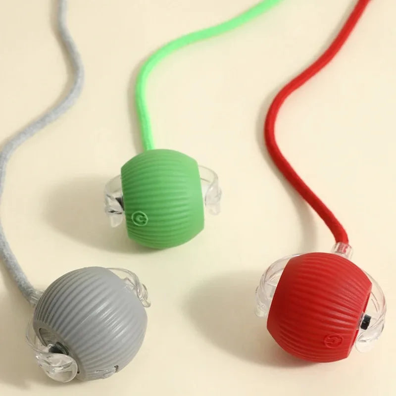Automatic Interactive Dog Ball Toy