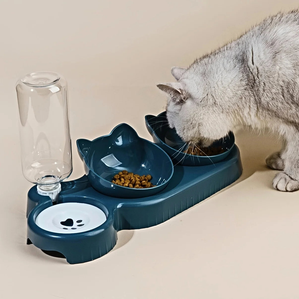 3-in-1 Tilted Pet Bowl Set with Water Feeder
