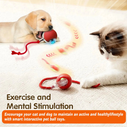 Automatic Interactive Dog Ball Toy