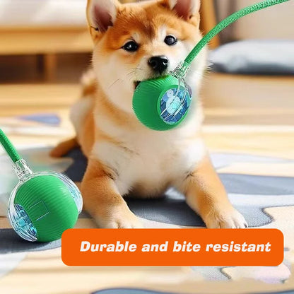 Automatic Interactive Dog Ball Toy