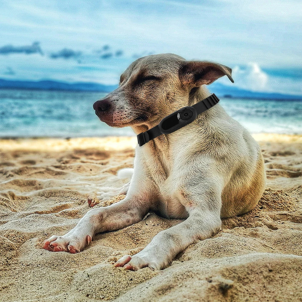 HD 1080P Pet Camera Collar