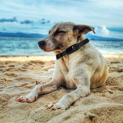 HD 1080P Pet Camera Collar