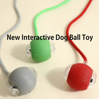 Automatic Interactive Dog Ball Toy