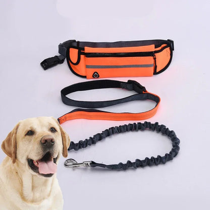 Hands-Free Reflective Dog Leash with Waist Bag