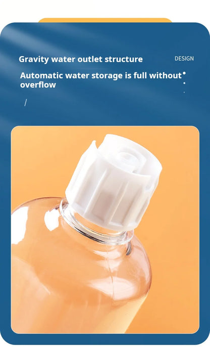 3-in-1 Tilted Pet Bowl Set with Water Feeder