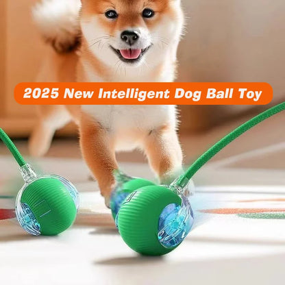 Automatic Interactive Dog Ball Toy