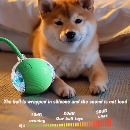 Automatic Interactive Dog Ball Toy