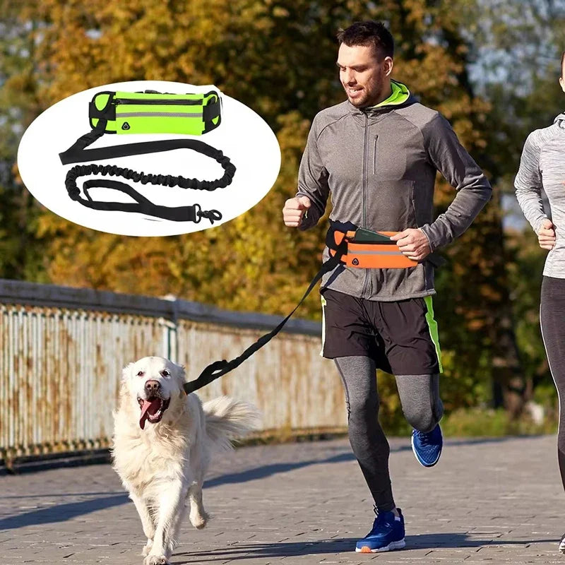 Hands-Free Reflective Dog Leash with Waist Bag