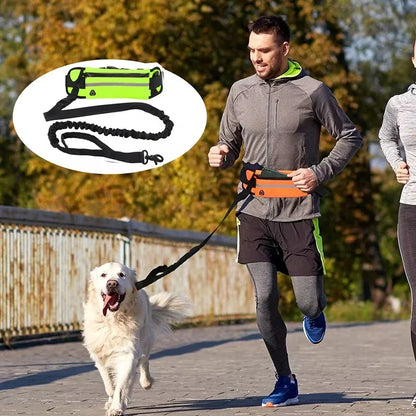 Hands-Free Reflective Dog Leash with Waist Bag