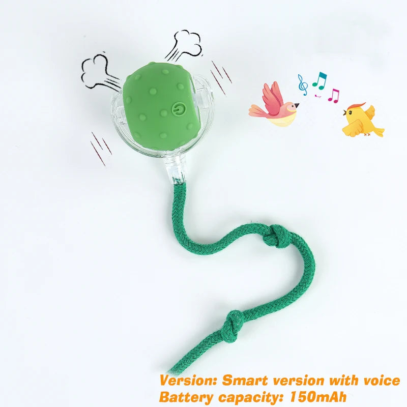 Automatic Interactive Dog Ball Toy